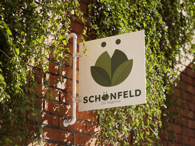 Schönfeld Tee - 2023